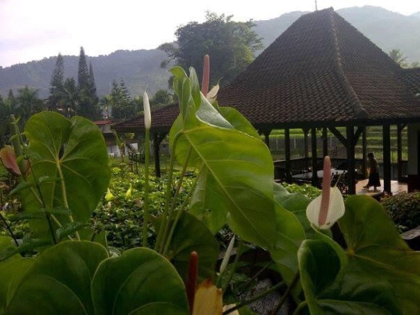 Grha Kasih Hotel Bogor Bagian luar foto
